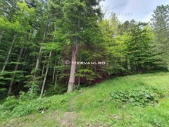 Teren intravilan de vanzare in Sinaia - Zona Furnica