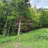 Teren intravilan de vanzare in Sinaia - Zona Furnica
